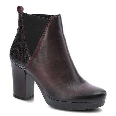 Botki MACIEJKA - 02092-23/00-3 Bordowy