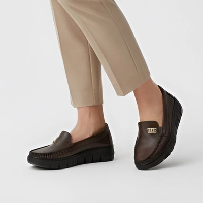 Półbuty ARMODO - 10167 S.Czekolada+Zł