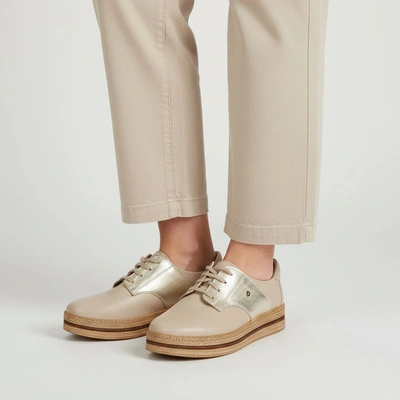 Półbuty ARMODO - 10123 V.Taupe/Kryształ Złoto